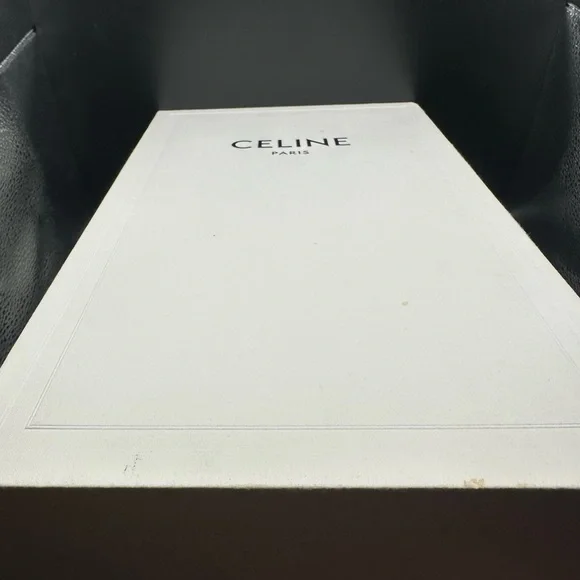 Celine Canvas Low Top Hedi Slimane US45 Full Presentation
